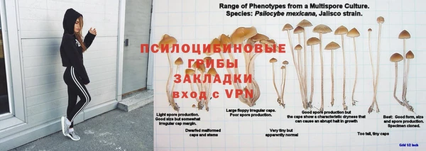амф Бородино