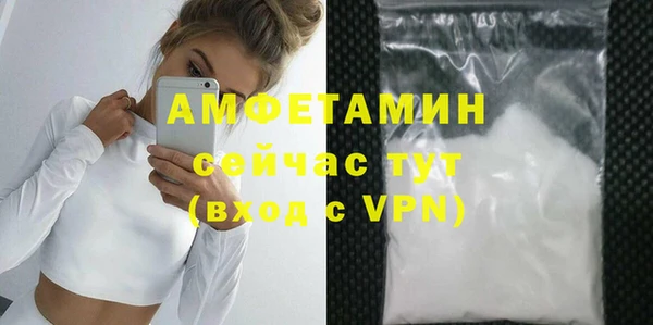 амф Бородино