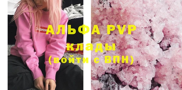 амф Бородино
