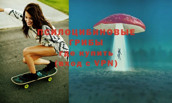 apvp Бронницы
