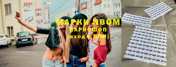 амф Бородино