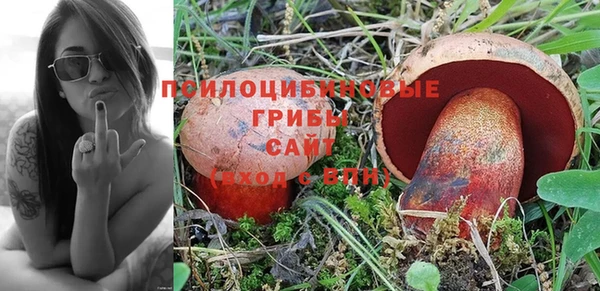 мет Верхний Тагил