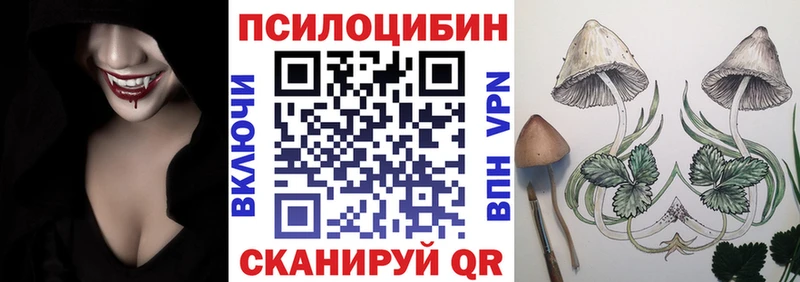 кракен сайт  купить наркоту  Междуреченск  Псилоцибиновые грибы MAGIC MUSHROOMS 